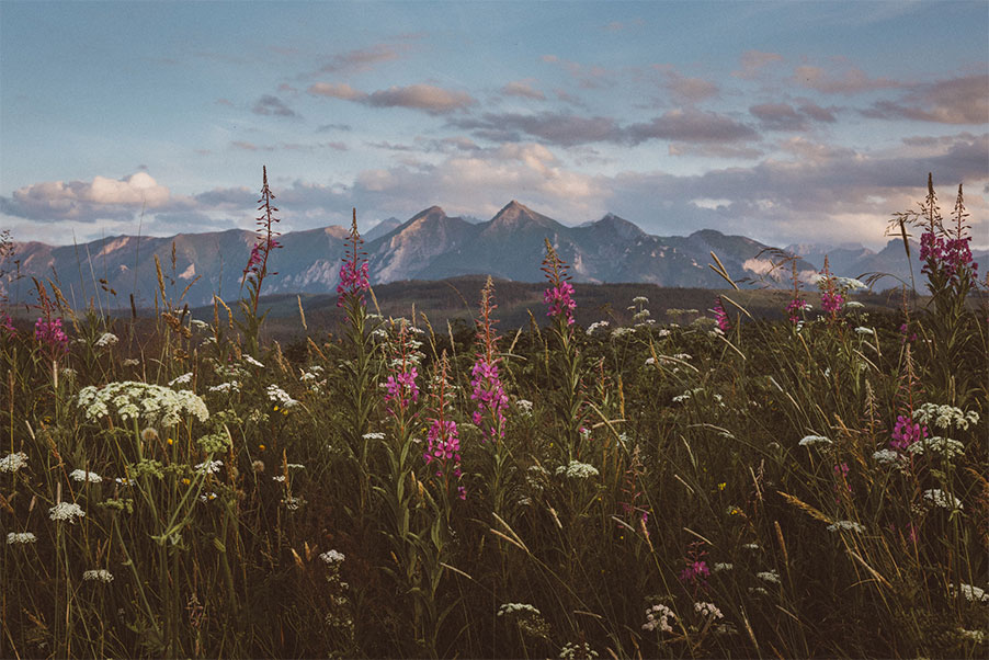 landscapes Photo