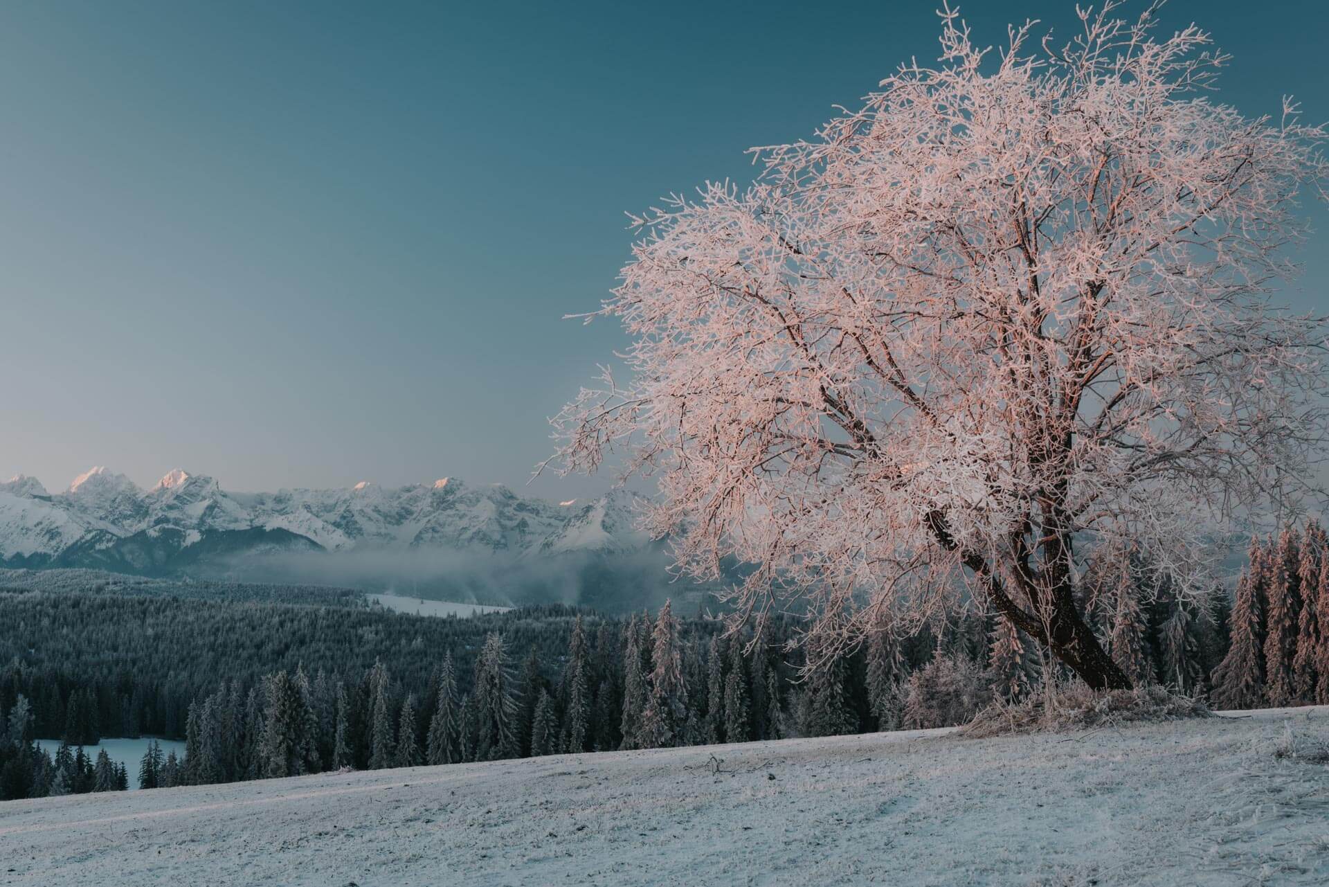 Landscape Backgound