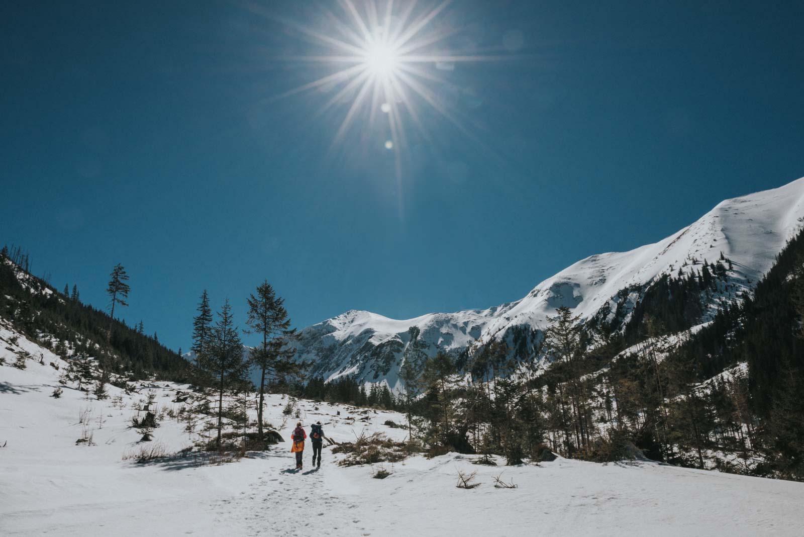 landscapes photo post 3