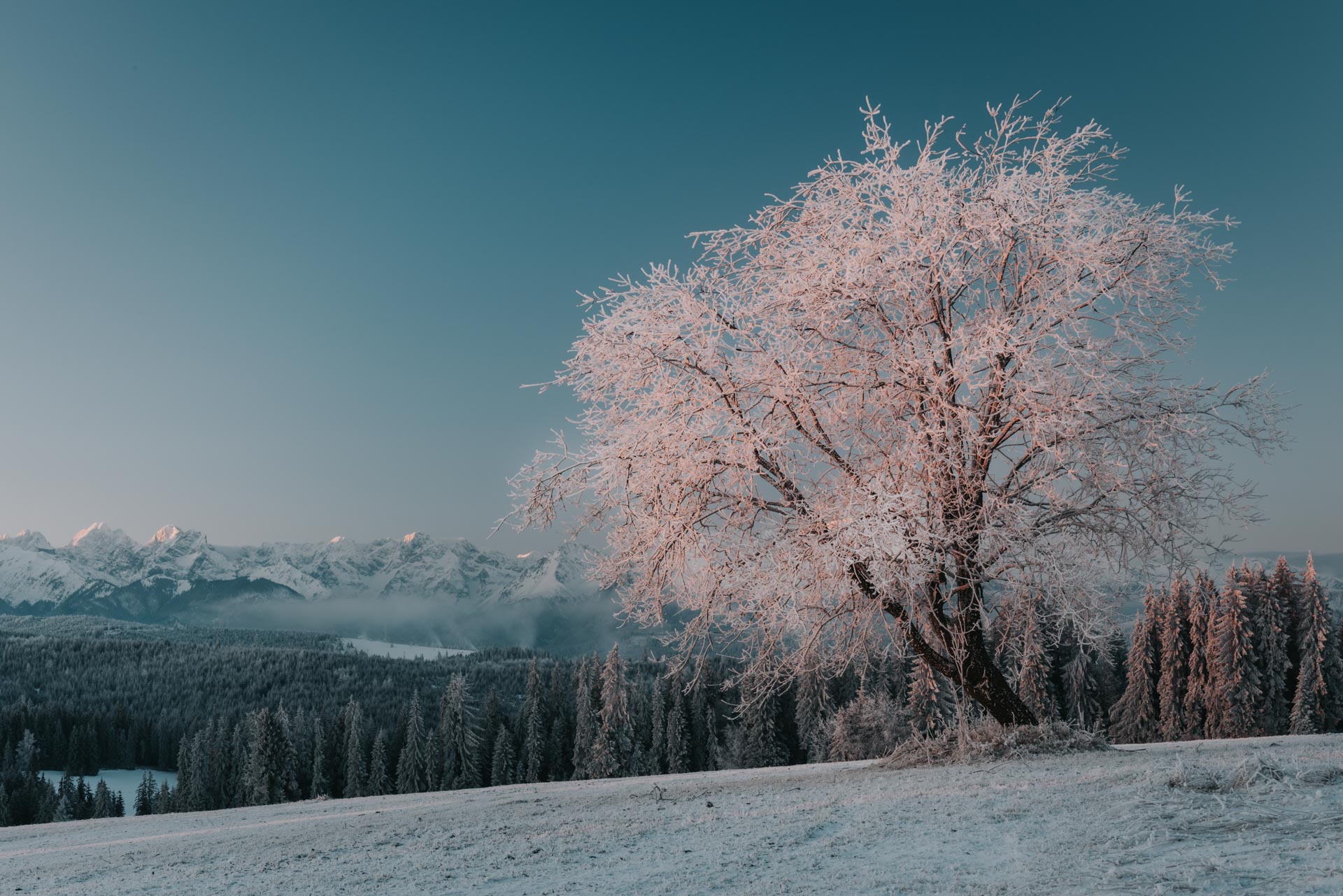 Landscape