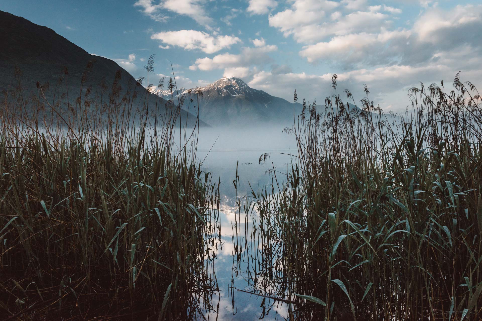 Landscape